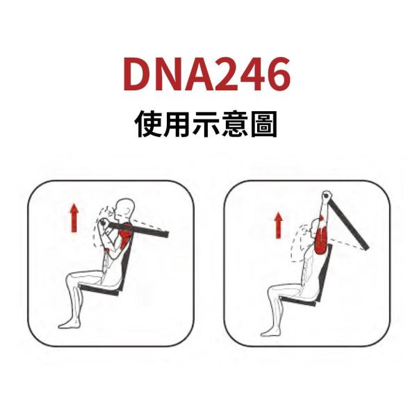 DNA246 肩部推举训练机 Gym,Fitness,Sport,Exercise,ABsport,Pro,Commercial Machine,Shoulder Press