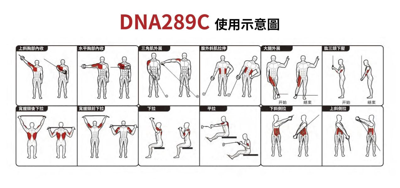 DNA289C 4-Station Multi Gym Gym,Fitness,Sport,Exercise,ABsport,Pro,Commercial Machine,4-Station Multi Gym