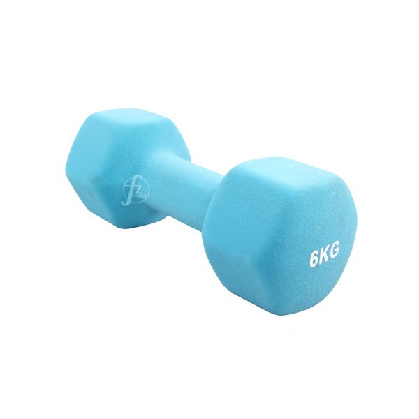DB-01-6KG 六角浸塑啞鈴6KG/單入 