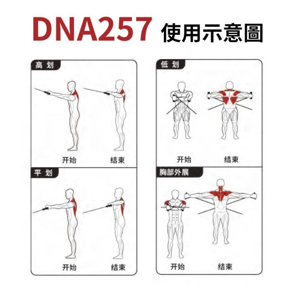 DNA257 小飛鳥 Gym,Fitness,Sport,Exercise,ABsport,Pro,Commercial Machine,Cable Crossover