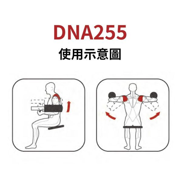 DNA255 肩部訓練機 Gym,Fitness,Sport,Exercise,ABsport,Pro,Commercial Machine,Lateral Raise