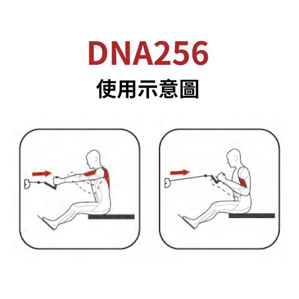DNA256 平拉訓練機 Gym,Fitness,Sport,Exercise,ABsport,Pro,Commercial Machine,Seated Horizontal Pulley