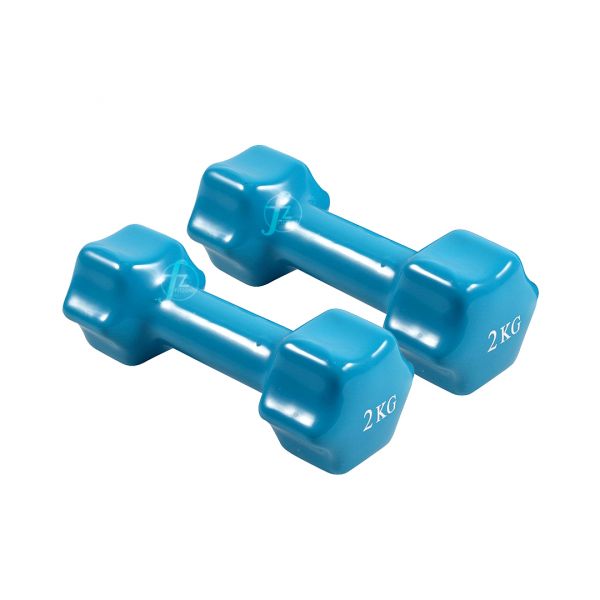 DB-01S-2KG Dumbbell 2KG 