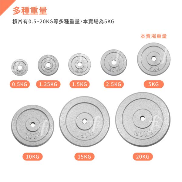 A1-15-5KG Standard Iron Plate W 5KG 