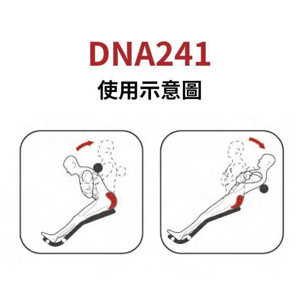 DNA241 下背伸展訓練機 Gym,Fitness,Sport,Exercise,ABsport,Pro,Commercial Machine,Back Extension