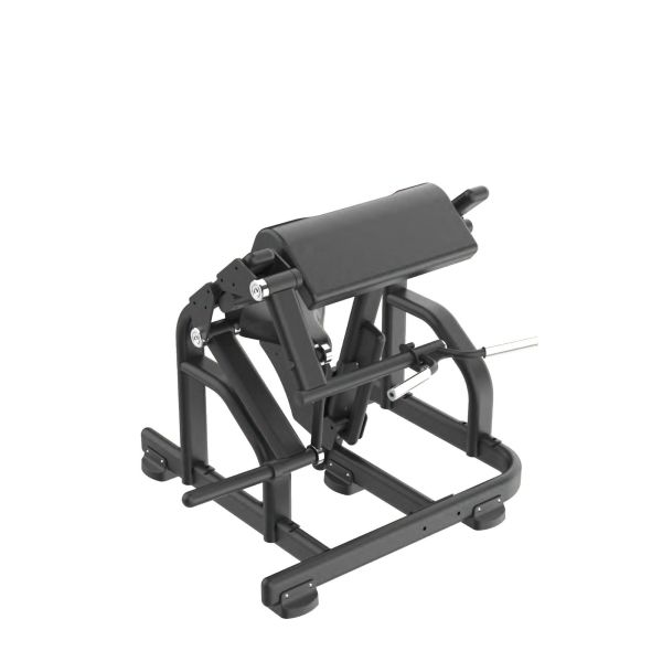 DNA317 挂片二头肌训练机 Gym,Fitness,Sport,Exercise,ABsport,Pro,Commercial Machine,Torso Rotation