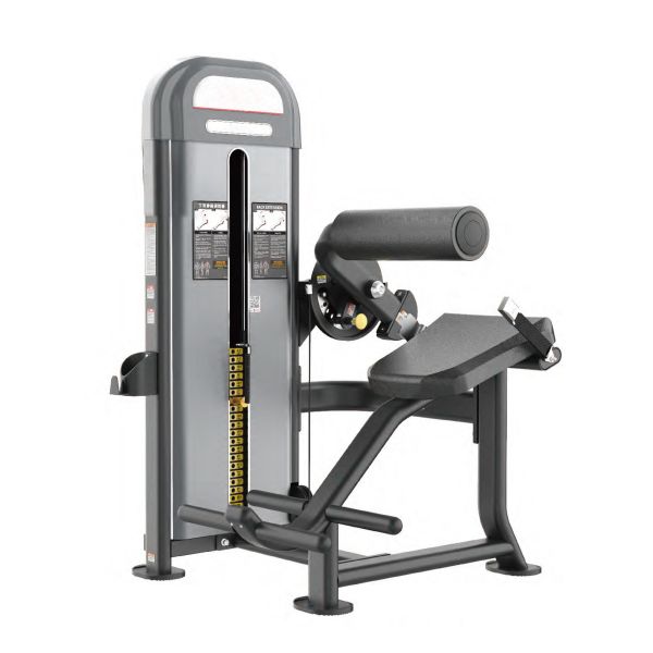 DNA241 Back Extension Gym,Fitness,Sport,Exercise,ABsport,Pro,Commercial Machine,Back Extension