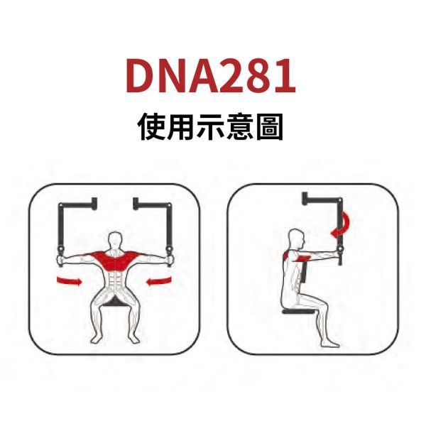 DNA281 夾胸/擴胸訓練機 Gym,Fitness,Sport,Exercise,ABsport,Pro,Commercial Machine,Fly Delt, Rear Delt