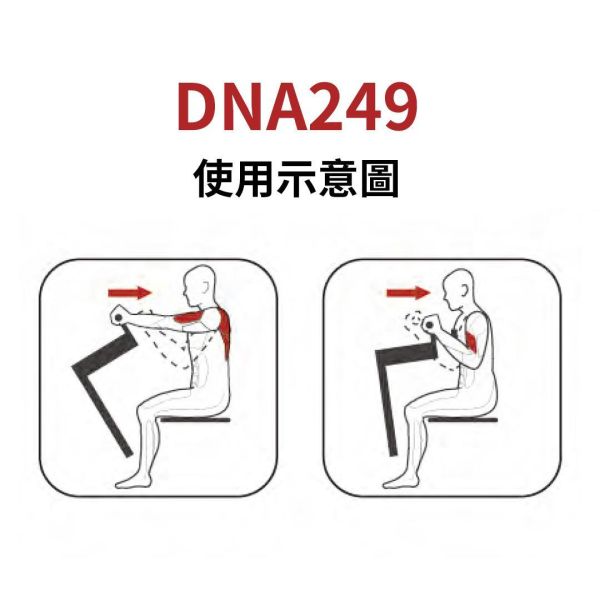 DNA249 划船训练机 Gym,Fitness,Sport,Exercise,ABsport,Pro,Commercial Machine,Seated Row
