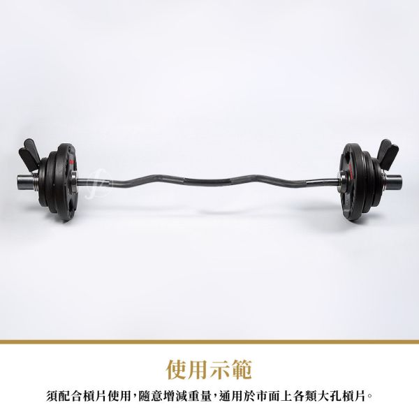 C3-20 EZ Curl Bar 