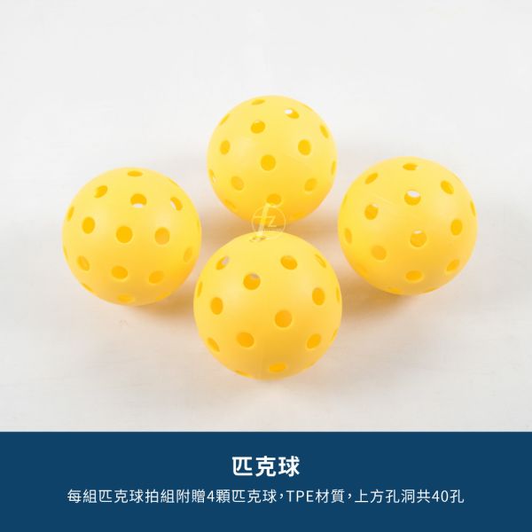 LD-01-001SET 匹克球拍組 匹克球,球拍,球套,球,戶外運動,網球,羽球,桌球