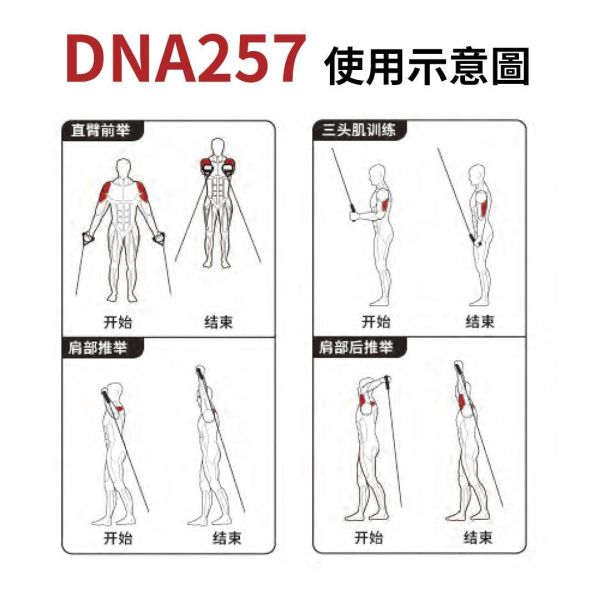 DNA257 小飛鳥 Gym,Fitness,Sport,Exercise,ABsport,Pro,Commercial Machine,Cable Crossover