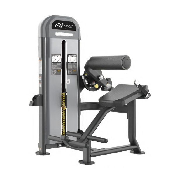 DNA241 下背伸展訓練機 Gym,Fitness,Sport,Exercise,ABsport,Pro,Commercial Machine,Back Extension