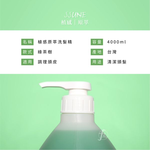 S-201 SSUNE Shampoo SSUNE,美髮沙龍,洗髮精,洗髮乳,潤髮乳,護髮,洗髮,沙龍,天然,台灣品牌,綠茶樹,銀杏,蜂膠,髮品