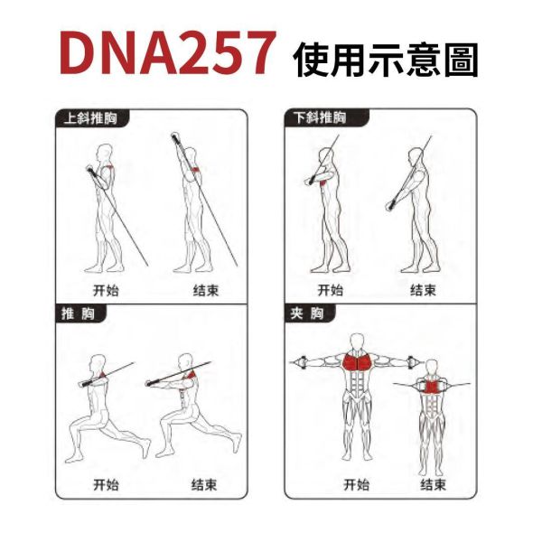 DNA257 小飛鳥 Gym,Fitness,Sport,Exercise,ABsport,Pro,Commercial Machine,Cable Crossover