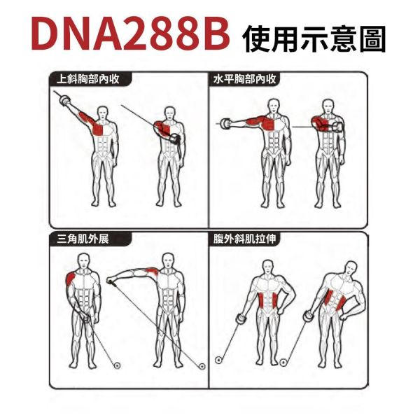 DNA288B Jungle Gym Gym,Fitness,Sport,Exercise,ABsport,Pro,Commercial Machine,Jungle Gym