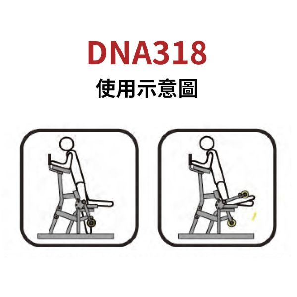 DNA318 挂片跪姿屈腿训练机 Gym,Fitness,Sport,Exercise,ABsport,Pro,Commercial Machine,Torso Rotation