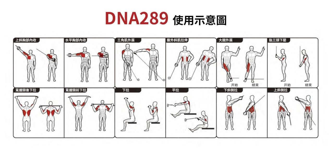 DNA289 四站訓練機 Gym,Fitness,Sport,Exercise,ABsport,Pro,Commercial Machine,4-Station Multi Gym