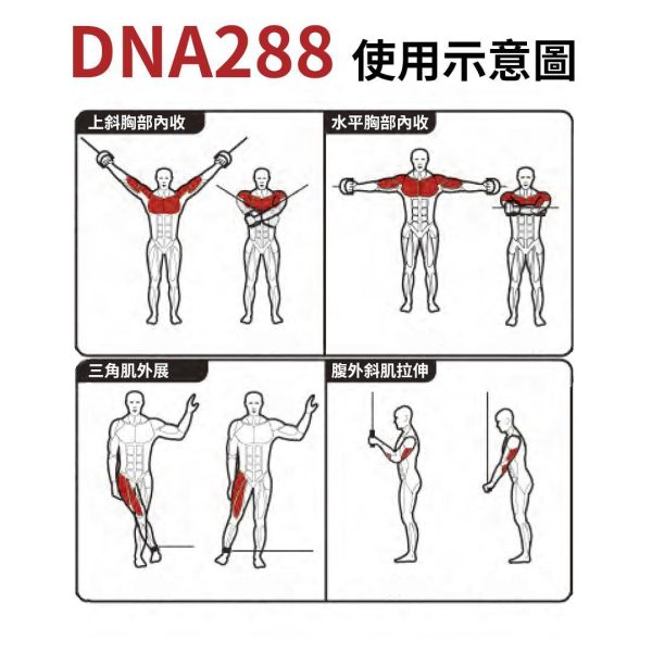 DNA288 四站大飛鳥 Gym,Fitness,Sport,Exercise,ABsport,Pro,Commercial Machine,Jungle Gym