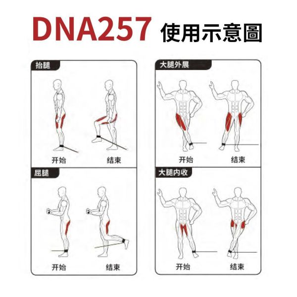 DNA257 小飛鳥 Gym,Fitness,Sport,Exercise,ABsport,Pro,Commercial Machine,Cable Crossover