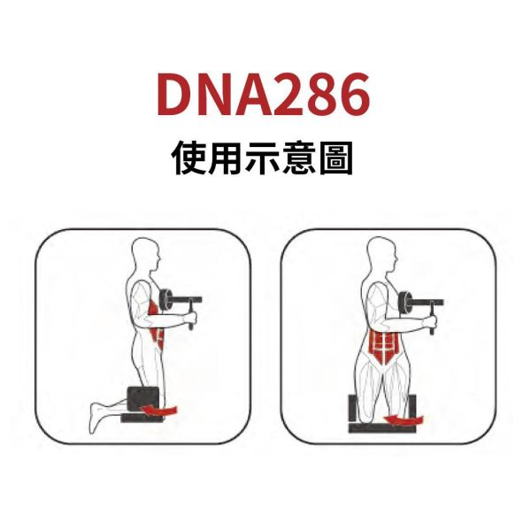 DNA286 轉體訓練機 Gym,Fitness,Sport,Exercise,ABsport,Pro,Commercial Machine,Torso Rotation