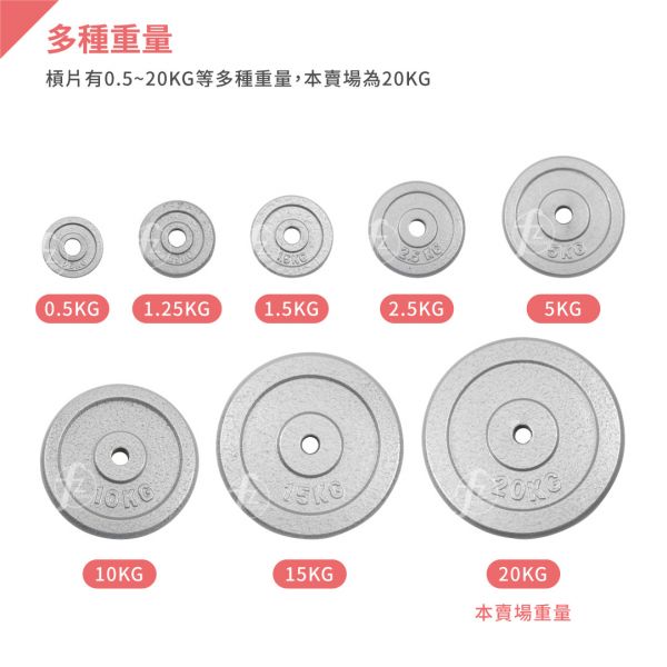 A1-15-20KG Standard Iron Plate W 20KG 