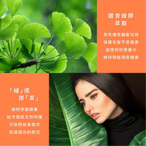 SSUNE－植感原萃護髮素800ml/銀杏蜂膠 SSUNE,美髮沙龍,洗髮精,洗髮乳,潤髮乳,護髮,洗髮,沙龍,天然,台灣品牌,綠茶樹,銀杏,蜂膠,髮品
