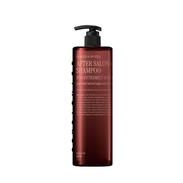 HC0016 After Salon Care Shampoo CURLYSHYLL,荷琇,極度修復洗髮露,洗髮精,受損髮,染燙受損,沙龍護髮,受損分岔,保濕洗髮精,洗髮乳,敏感性頭皮,保濕舒緩,韓國髮品,韓國洗髮精,韓國保養