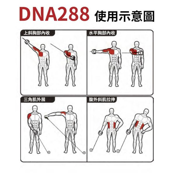 DNA288 四站大飛鳥 Gym,Fitness,Sport,Exercise,ABsport,Pro,Commercial Machine,Jungle Gym