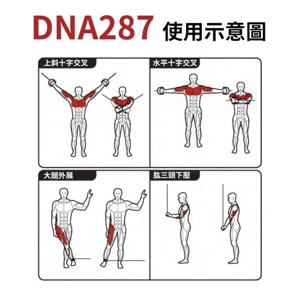 DNA287 大飛鳥 Gym,Fitness,Sport,Exercise,ABsport,Pro,Commercial Machine,Cable Crossover