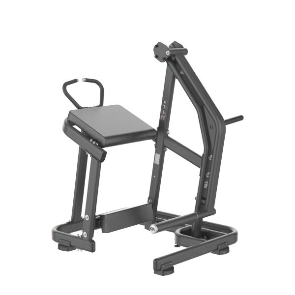 DNA305 挂片后蹬腿训练机 Gym,Fitness,Sport,Exercise,ABsport,Pro,Commercial Machine,Torso Rotation