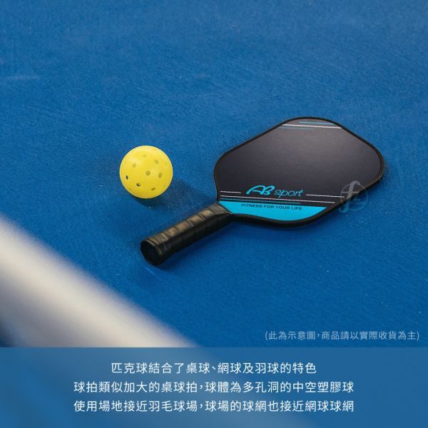LD-01-SET 匹克球拍组 LD-01-SET