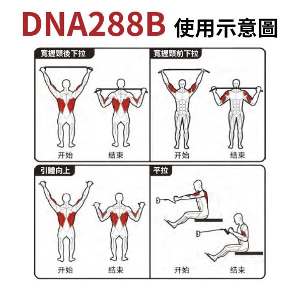 DNA288B Jungle Gym Gym,Fitness,Sport,Exercise,ABsport,Pro,Commercial Machine,Jungle Gym