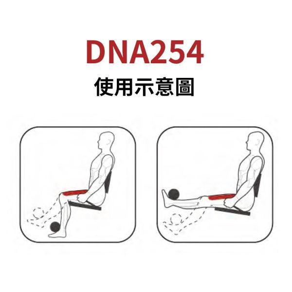 DNA254 伸腿訓練機 Gym,Fitness,Sport,Exercise,ABsport,Pro,Commercial Machine,Leg Extension
