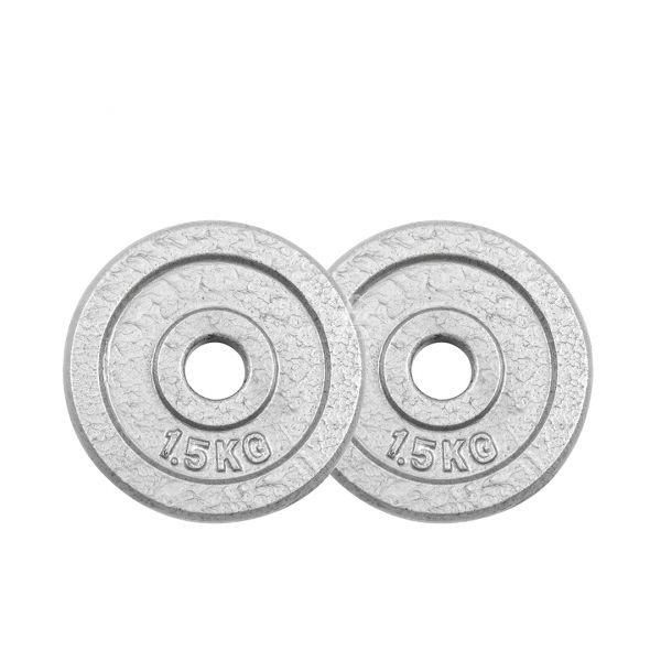 A1-15-1.5KG 灰烤槓片1.5KG（孔徑27mm）/二入 