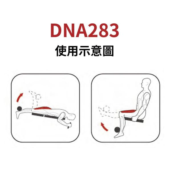 DNA283 伸腿/俯臥式屈腿訓練機 Gym,Fitness,Sport,Exercise,ABsport,Pro,Commercial Machine,Fly Delt,Prone Leg Curl,Leg Curl