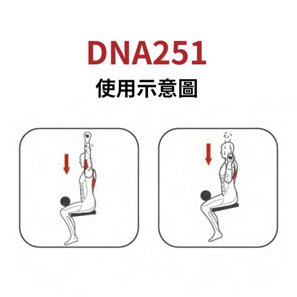 DNA251 高拉背訓練機 Gym,Fitness,Sport,Exercise,ABsport,Pro,Commercial Machine,Lat Pulldown