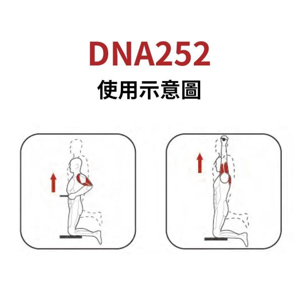 DNA252 引体向上训练机 Gym,Fitness,Sport,Exercise,ABsport,Pro,Commercial Machine,Dip,Chin