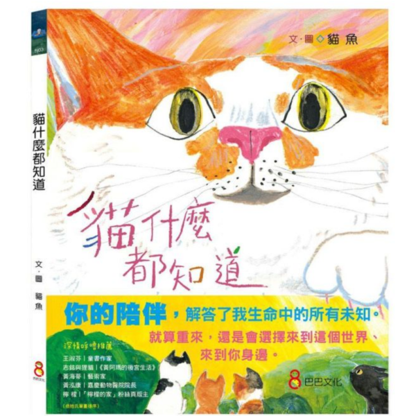 貓什麼都知道 貓咪繪本推薦,療癒系繪本,貓咪故事書,寵物書推薦,愛貓族群,溫馨繪本,人氣繪本,送禮推薦