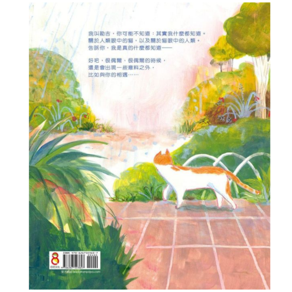 貓什麼都知道 貓咪繪本推薦,療癒系繪本,貓咪故事書,寵物書推薦,愛貓族群,溫馨繪本,人氣繪本,送禮推薦