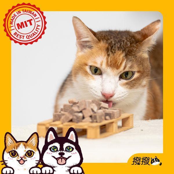 撥撥台灣牛肉丁-嚴選神農獎御牧牛，貓狗適用原肉凍乾 貓凍乾推薦,狗凍乾推薦,牛肉丁凍乾,御牧牛凍乾,台灣牛凍乾,補鐵貓零食,高蛋白貓凍乾,原肉凍乾,貓咪挑食零食