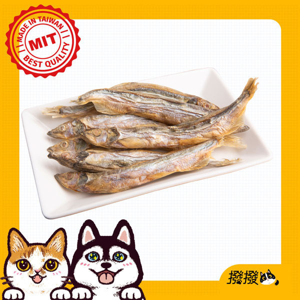 [線上寵物展]限時優惠至 7/9 (三) 12:00 撥撥大尾柳葉魚-來自北歐純淨海域，貓狗適用原肉凍乾 柳葉魚,安心無毒,無藥物養殖,貓狗零食,寵物凍乾,撥撥凍乾, 寵物食品檢驗,