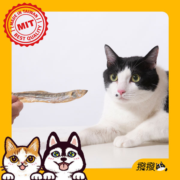 [線上寵物展]限時優惠至 7/9 (三) 12:00 撥撥大尾柳葉魚-來自北歐純淨海域，貓狗適用原肉凍乾 柳葉魚,安心無毒,無藥物養殖,貓狗零食,寵物凍乾,撥撥凍乾, 寵物食品檢驗,