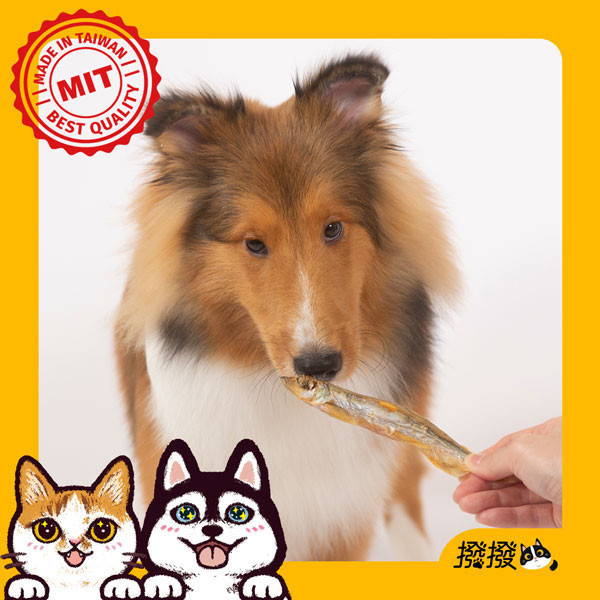 [線上寵物展]限時優惠至 7/9 (三) 12:00 撥撥大尾柳葉魚-來自北歐純淨海域，貓狗適用原肉凍乾 柳葉魚,安心無毒,無藥物養殖,貓狗零食,寵物凍乾,撥撥凍乾, 寵物食品檢驗,