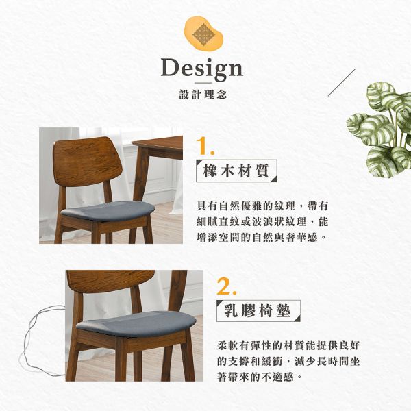德琳橡木胡桃色餐椅 Hampton,漢汀堡,椅子,椅,餐椅,橡木