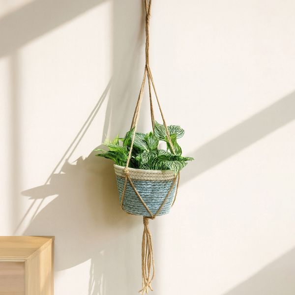 手工編織吊籃盆栽 Hampton,漢汀堡,手工編織吊籃盆栽,吊籃盆栽,植物