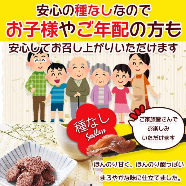 日本直送リフ工房 無籽梅乾 200g 獨立包裝 紫蘇口味 梅片 鹽分補給 露營 健行 爬山【小福部屋】 