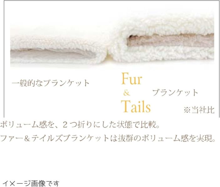 KOJI COMPANY 貓咪尾巴毛毯禮盒(棕色/灰色/白色) 貓咪毛毯,絨毛毯,日本毛毯,保暖小物,冬季禮物,交換禮物推薦,貓咪造型毛毯,居家保暖毯,KOJI COMPANY,日本禮盒