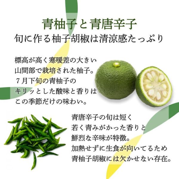 日本製 角屋食品 無添加 柚子胡椒 100g 青柚子胡椒 紅柚子胡椒 辛辣 煎餃 柚子拉麵 調味料 辛辣 辣椒 BBQ【小福部屋】 