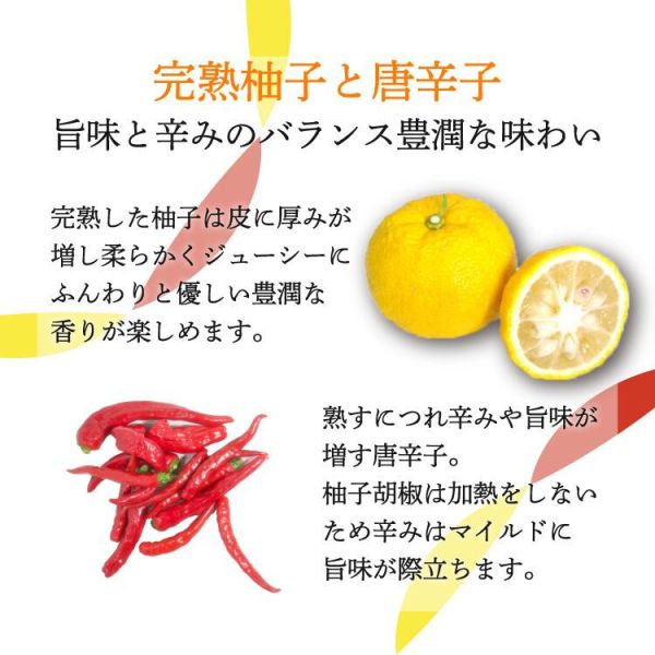 日本製 角屋食品 無添加 柚子胡椒 100g 青柚子胡椒 紅柚子胡椒 辛辣 煎餃 柚子拉麵 調味料 辛辣 辣椒 BBQ【小福部屋】 